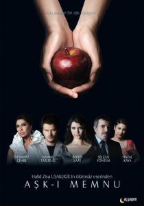Запретная любовь (2010)